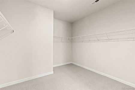 New construction Single-Family house 11332 Alla Breve Cir, Lone Tree, CO 80134 - image 19