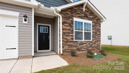 New construction Single-Family house 84 Ridgehaven Dr, Waynesville, NC 28786 - image