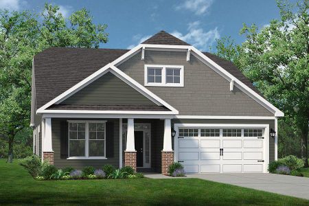 Bridgewater - Shorehaven Village by Chesapeake Homes in Little River - image 14