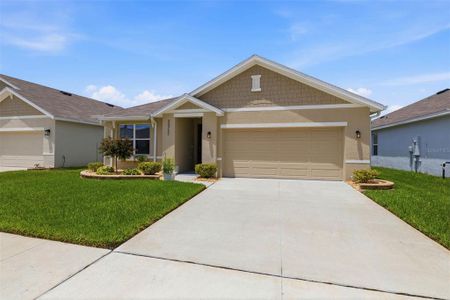 New construction Single-Family house 33731 Hamilton Hill Ln, Wesley Chapel, FL 33545 - image