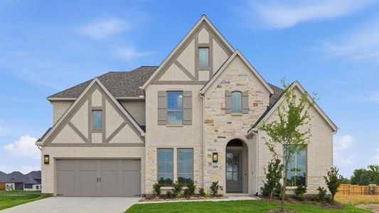 New construction Single-Family house 1809 Bistineau Ct, Celina, TX 75009 plan 3797W - image