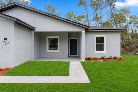 New construction Single-Family house 17397 Sw 41St Cir, Ocala, FL 34473 - image