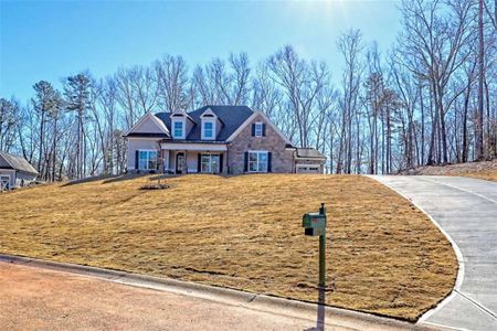 New construction Single-Family house 162 Northern Spy Dr, Clarkesville, GA 30523 - image