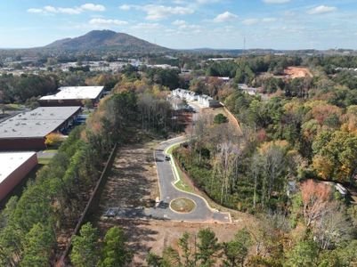 New construction Townhouse house 135 Bluffington Way, Marietta, GA 30066 Brooks- photo 27 27