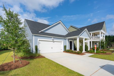 New construction Single-Family house 1042 Tea Time Dr, Summerville, SC 29485 plan Palmetto - image