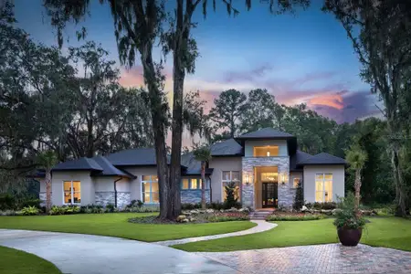New construction Single-Family house 0000 Se 47Th Lp, Ocala, FL 34471 - image