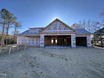 New construction Single-Family house 102 Roma Gora Court, Princeton, NC 27569 - photo 0