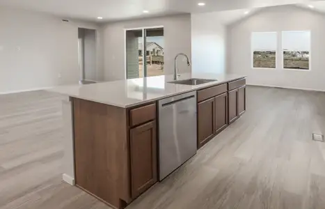 New construction Single-Family house 734 Trumpet Ct, Windsor, CO 80550 plan Morrison - image 11