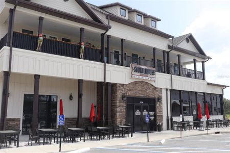 New construction Single-Family house 24350 Sw 18TH Ln, Newberry, FL 32669 - image 9