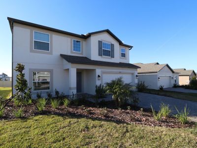 New construction Single-Family house 12219 Hilltop Farms Dr, Dade City, FL 33525 Malibu- photo 203 203