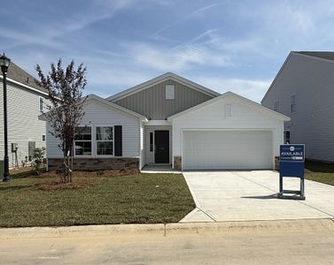 New construction Single-Family house 734 Clementine Run, Gilbert, SC 29054 plan Durham - image