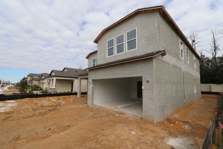 New construction Single-Family house 12008 Hilltop Farms Dr, Dade City, FL 33525 Alenza- photo 83 83