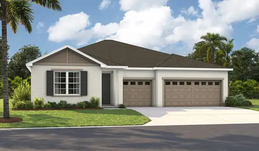 New construction Single-Family house 2914 Woodcliff Lake Cir, Clermont, FL 34711 plan Darius - image