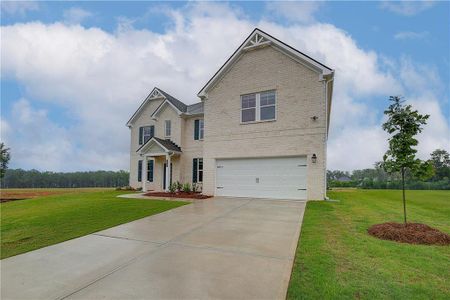 New construction Single-Family house 428 Hatcher Ct, Hampton, GA 30228 - image