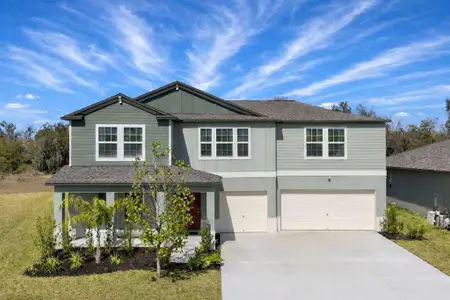 New construction Single-Family house 5032 Eagle Rock Dr, Wimauma, FL 33598 plan Cheyenne - image