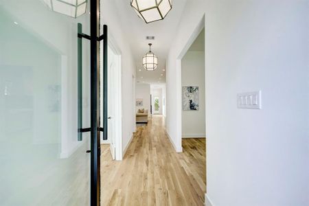 Elegant entryway with pivot door