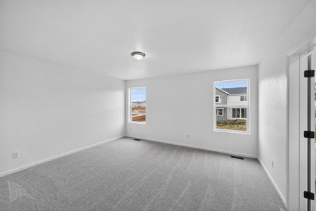 New construction Single-Family house 28405 E 4Th Ave, Watkins, CO 80137 plan Buena Vista - image 17