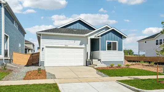 New construction Single-Family house 3202 Conquest St, Fort Collins, CO 80524 plan Cadence - image