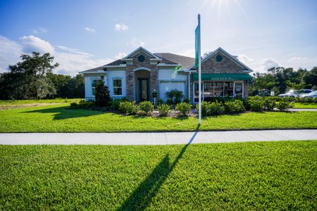 New construction Single-Family house 11 Pheasant Dr, Palm Coast, FL 32164 null- photo 6 6