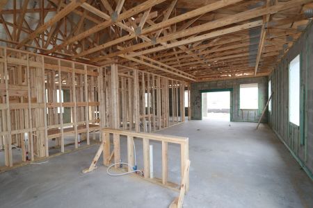 New construction Single-Family house 38413 Tobiano Loop, Dade City, FL 33525 Picasso- photo 16 16