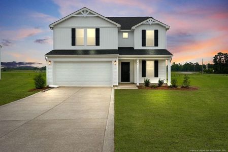 New construction Single-Family house 46 Buggy Top Ln, Autryville, NC 28318 - image