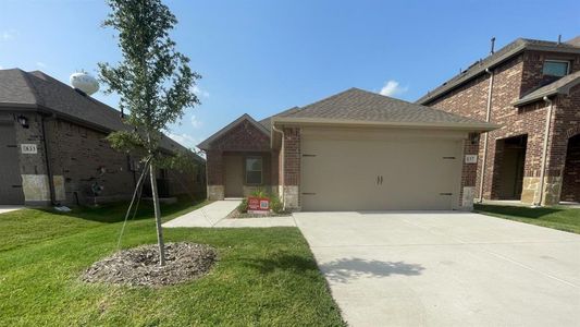 New construction Single-Family house 837 Moonwake Drive, Lavon, TX 75166 1582 Shelby- photo 0