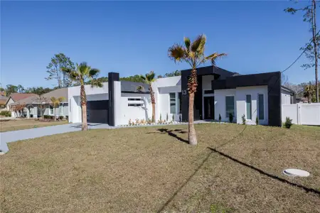 New construction Single-Family house 13 Edith Ln, Palm Coast, FL 32164 - image