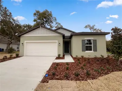 New construction Single-Family house 19641 Sw 82Nd Lp, Dunnellon, FL 34432 plan Carson - image