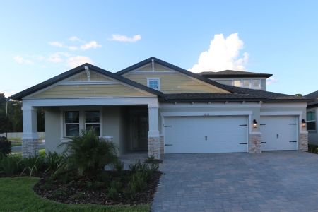 New construction Single-Family house 20112 Oriana Loop, Land O' Lakes, FL 34638 Corina  III Bonus- photo 49 49