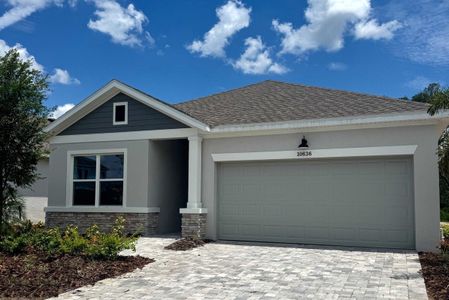 New construction Single-Family house 5353 Wolf Creek Dr, Apollo Beach, FL 33572 plan The Sanborn - image
