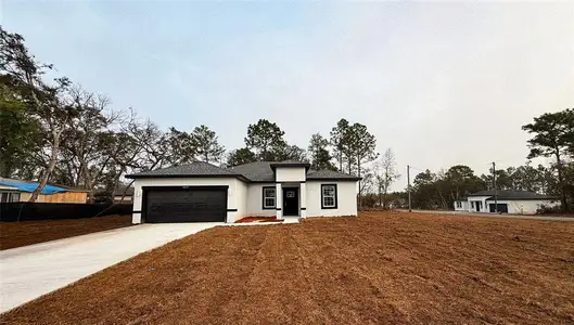 New construction Single-Family house 6079 Sw 150Th Ln, Ocala, FL 34473 - image