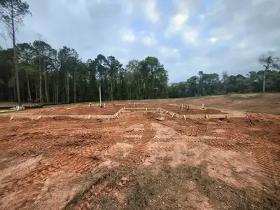 New construction Single-Family house 1958 W Sr 54 Hwy, Hogansville, GA 30230 plan Davenport - image