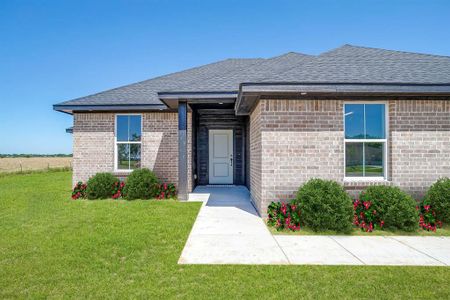 New construction Single-Family house 320 Cherry Point Dr, Palmer, TX 75152 - image