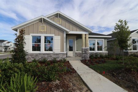 New construction Single-Family house 28732 Rambutan Dr, Wesley Chapel, FL 33543 Redwood- photo 1 1