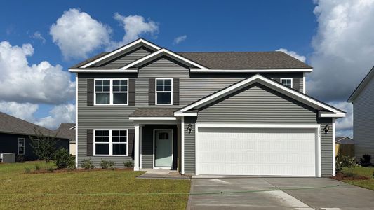 New construction Single-Family house 1057 Pampas Grass Dr, Castle Hayne, NC 28429 plan Elle - image