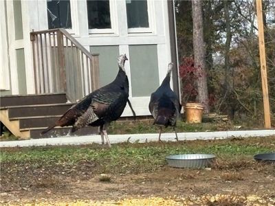 New construction Single-Family house 3454 Velma Dr Sw, Powder Springs, GA 30127 - image