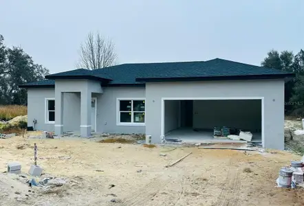 New construction Single-Family house 11 Spruce Ln, Ocala, FL 34472 - image