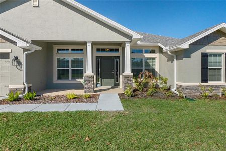 New construction Single-Family house 5139 Jenson Ave, Spring Hill, FL 34608 2169- photo 3 3