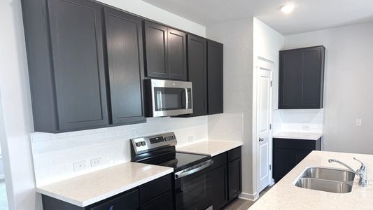 New construction Single-Family house 709 Red Wolf Dr, Jarrell, TX 76537 plan Paramount - image 13