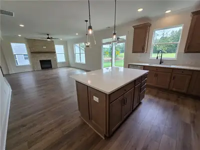 New construction Single-Family house 337 Conifer Ln, Ball Ground, GA 30107 plan Drexel - image 11
