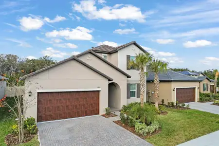 New construction Single-Family house 10843 Ibis Brook Ct, Land O' Lakes, FL 34638 - image