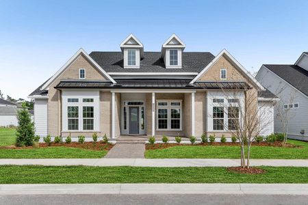 Seven Pines 70' Rear Entry by David Weekley Homes in Jacksonville - photo 7 7