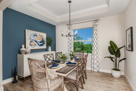 Tea Olive Terrace at the Fairways by William Ryan Homes in Palmetto - photo 25 25