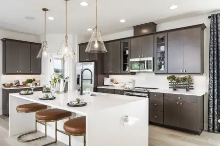 New construction Single-Family house 17322 Beachgrass Aly, Winter Garden, FL 34787 plan Wekiva - Avenue Collection - image