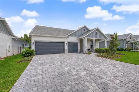New construction Single-Family house 31537 Hayman Lp, Wesley Chapel, FL 33543 - image