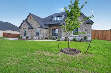 New construction Single-Family house 144 Chapowits, Godley, TX 76044 plan The Frisco - image 20