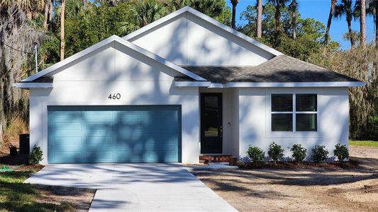 New construction Single-Family house 460 E Oak Hill Road, Mount Dora, FL 32757 - photo 0