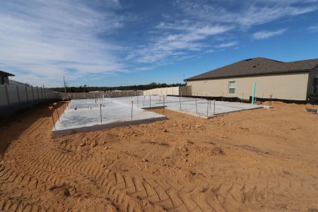 New construction Single-Family house 12263 Hilltop Farms Dr, Dade City, FL 33525 Sentinel- photo 7 7