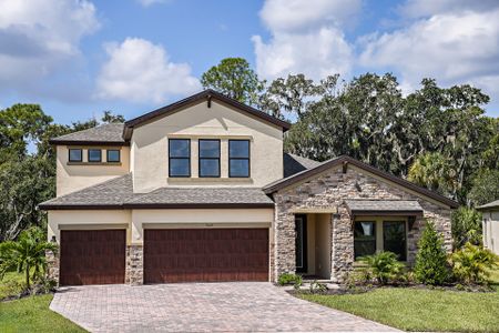 New construction Single-Family house 5379 Wolf Creek Dr, Apollo Beach, FL 33572 null- photo 0 0