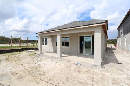 New construction Single-Family house 31236 Denham Ridge Ln, Wesley Chapel, FL 33545 Santa Monica- photo 65 65